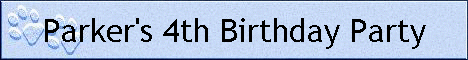 Parker's 4th Birthday Party