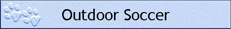 Outdoor Soccer